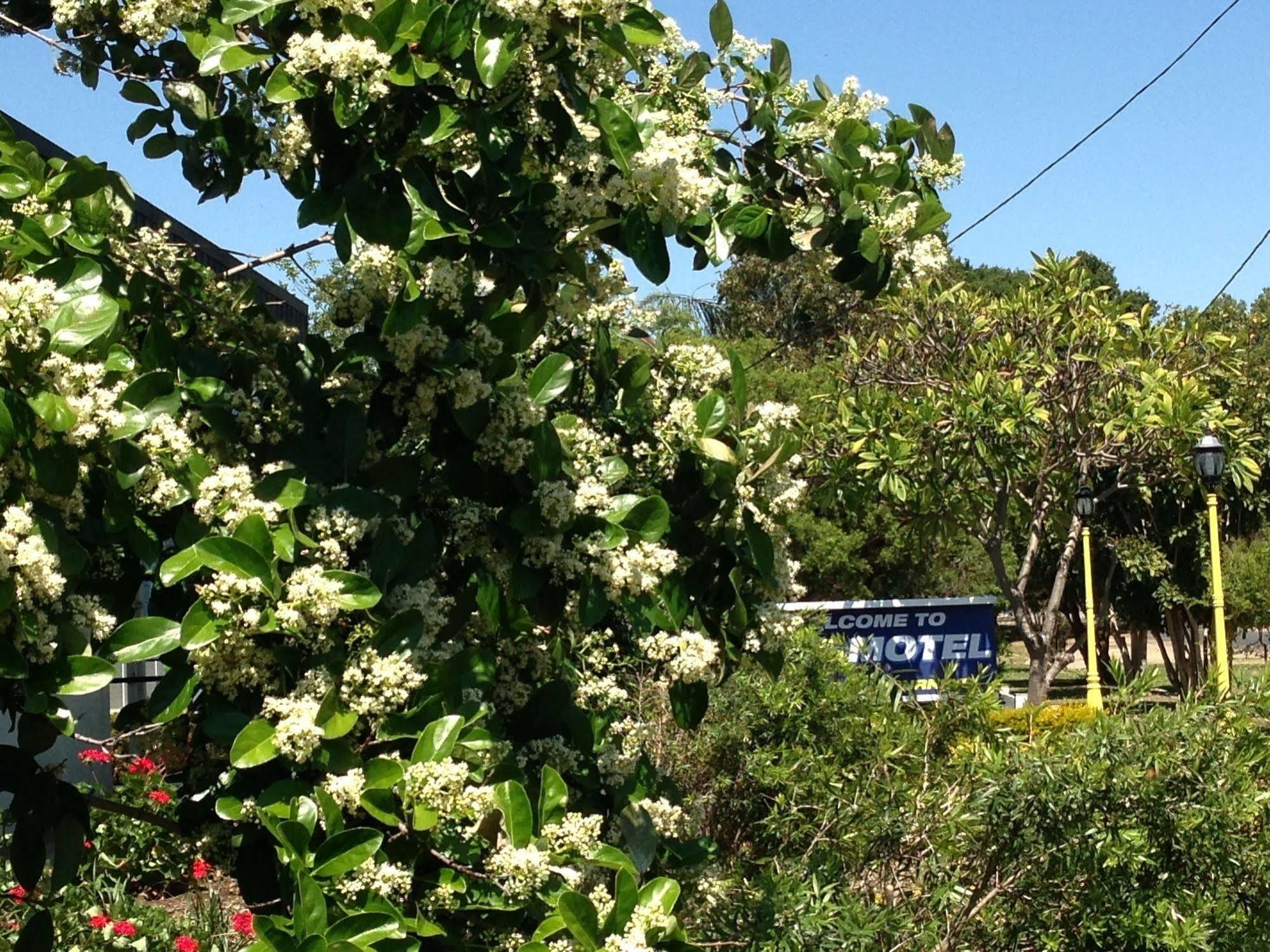 Boggabilla Motel Luaran gambar